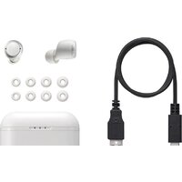 Panasonic RZ-S300WGE-W Image #5