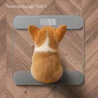 Redmond (Редмонд) SB1811 Image #4