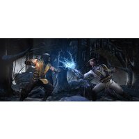 Mortal Kombat XL для PlayStation 4 Image #31