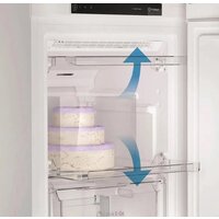 Indesit DFZ 5175 G Image #5