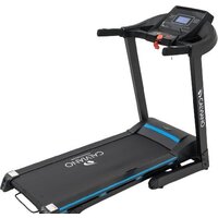 Беговые дорожки