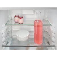 Liebherr ICNe 5103 Pure NoFrost Image #9