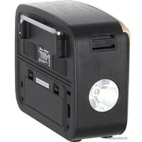 Ritmix RPR-050 (золотой) Image #8