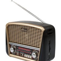 Ritmix RPR-050 (золотой) Image #2