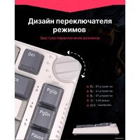 Royal Kludge RK-H81 RGB White Night (RK Brown) Image #11