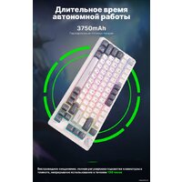 Royal Kludge RK-H81 RGB White Night (RK Brown) Image #15