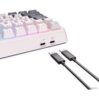 Royal Kludge RK-H81 RGB White Night (RK Cyan) Image #5