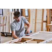 Bosch GEX 18V-125 Professional 0601372201 (без АКБ) Image #8