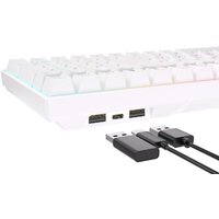 Royal Kludge RK100 RGB (белый, RK Red) Image #5