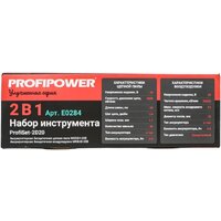Profipower ProfiSet-2D20 (воздуходувка, цепная пила, 2 АКБ) Image #5