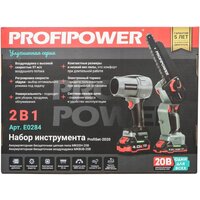 Profipower ProfiSet-2D20 (воздуходувка, цепная пила, 2 АКБ) Image #4