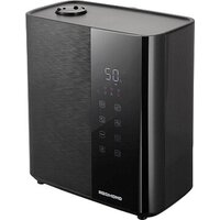 Redmond (Редмонд) HF2200