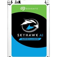 Seagate SkyHawk AI 10TB ST10000VE0008 Image #1
