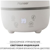 Pioneer HDS31 Image #4