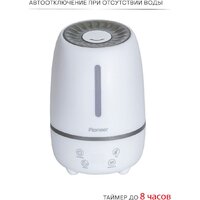 Pioneer HDS31 Image #7