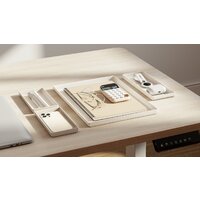 CACTUS CS-NB-BAMB Image #13