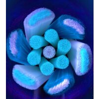 Oral-B iO Ultimate Clean (4 шт, белый) Image #5