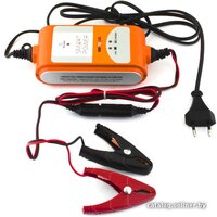 Беркут SP-2N Image #4