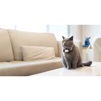 Insta360 GO3 Action Kit 64GB (арктический белый) Image #8