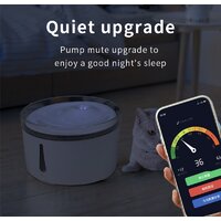 Mobipeet Автоматическая XP1901 wifi Image #5