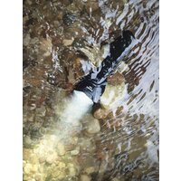 Armytek Viking Pro Magnet USB (белый) Image #5