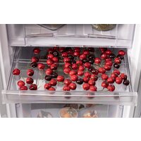 Nord (Nordfrost) NRB 151 S Image #11