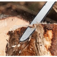 Oasis ES-22 Image #5