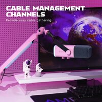 FIFINE BM88 (розовый) Image #10