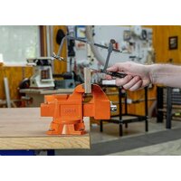 Pony Jorgensen 29060 Image #2