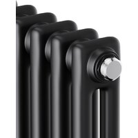 Royal Thermo Insignia C2180 - 12 секций RAL9005m Image #3