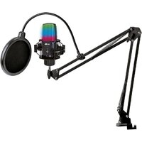 Ritmix RDM-270 (черный) Image #2