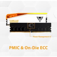 Patriot Viper Elite 5 RGB TUF Gaming Alliance 2x24ГБ DDR5 6000 МГц PVER548G60C36KT Image #11