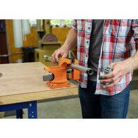 Pony Jorgensen 24545 Image #3