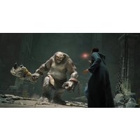 Hogwarts Legacy для PlayStation 5 Image #4