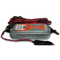 Беркут SP-CAR-to-CAR Image #2