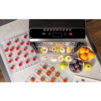 Garlyn D-12 Image #2