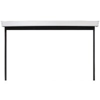 Future Vision Video Electric 240x180 E240VMW