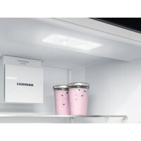 Liebherr IRe 5100 Pure Image #8