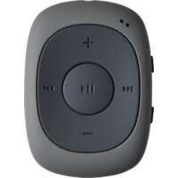 Digma C2LG (серый) [367272]