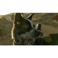 GoPro HERO Compact 4K Image #10