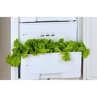 POZIS RK-102 (бежевый) Image #6