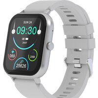 Maxvi SW-02 (серый)