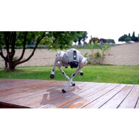 Unitree Go2 Air Image #16