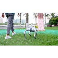 Unitree Go2 Air Image #21