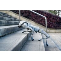 Unitree Go2 Air Image #11