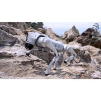 Unitree Go2 Air Image #23