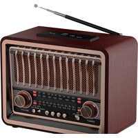 Ritmix RPR-089 (красное дерево)