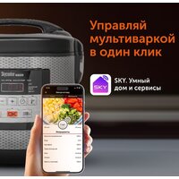 RED Solution SkyCooker RMC-M224S Image #6