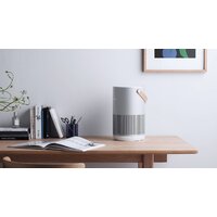 SmartMi Air Purifier P1 ZMKQJHQP12 (международная версия, серебристый) Image #9