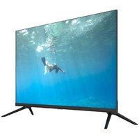 Vivaris 32 One T Image #4